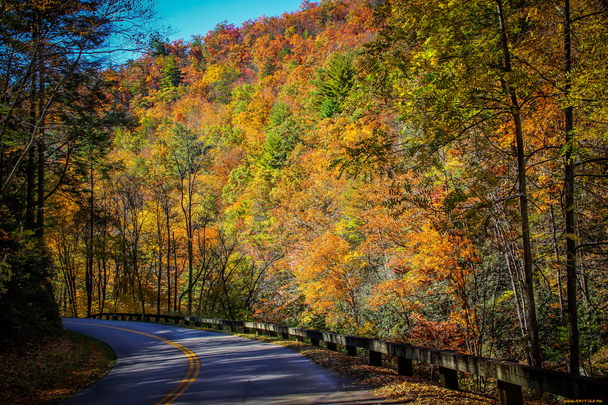 природа, дороги, простор