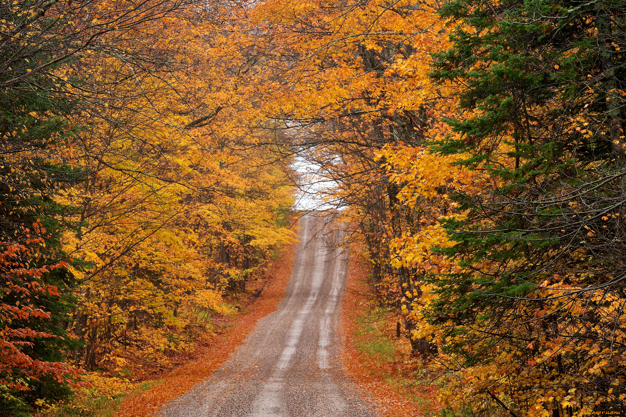 природа, дороги, простор
