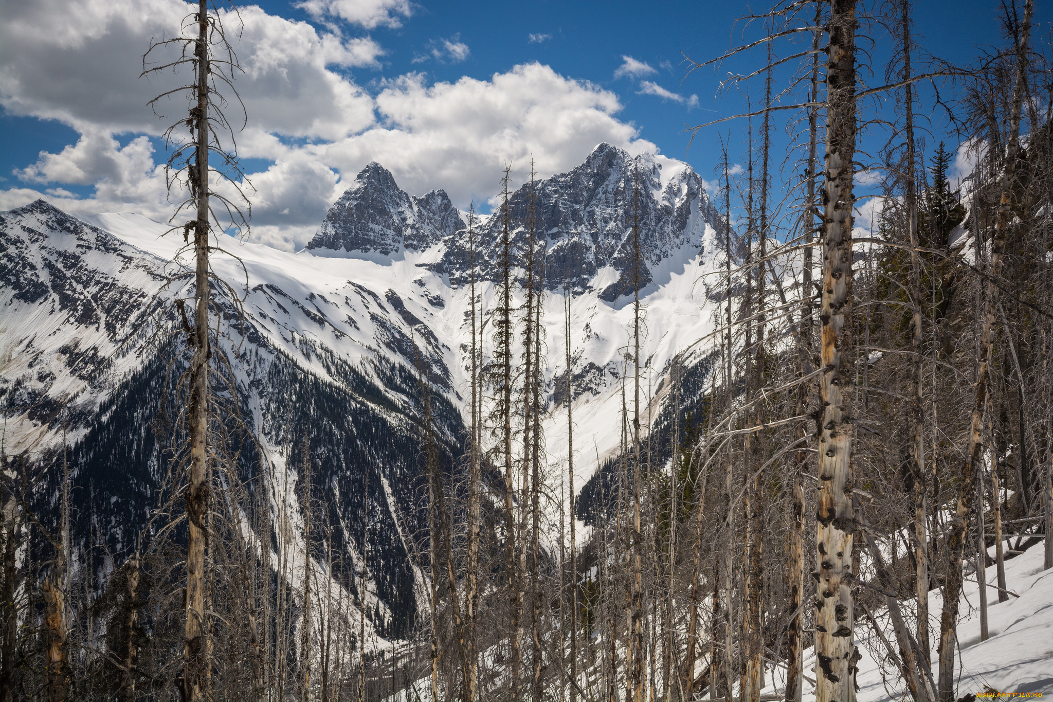 природа, горы, простор