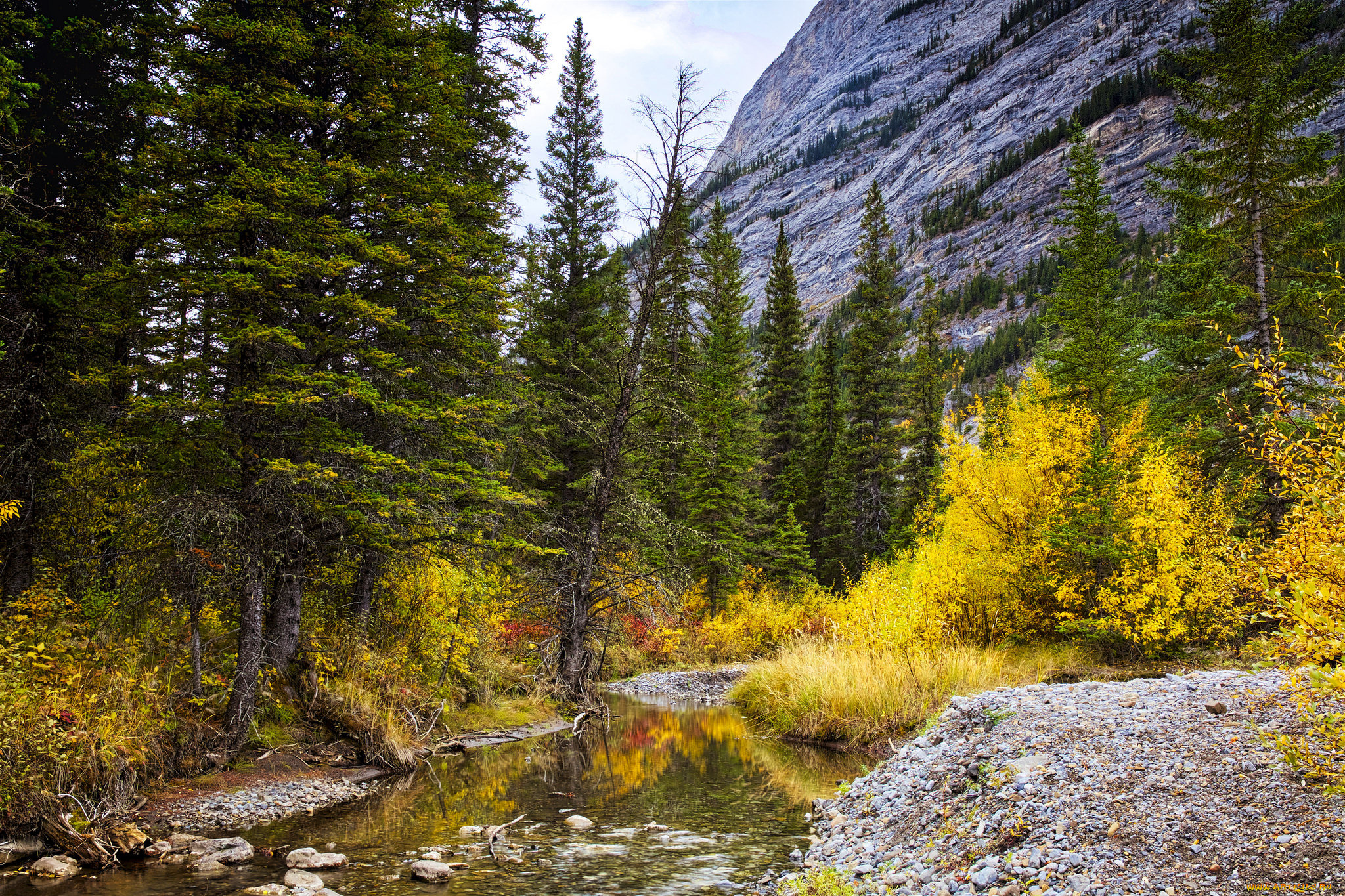 природа, горы, простор