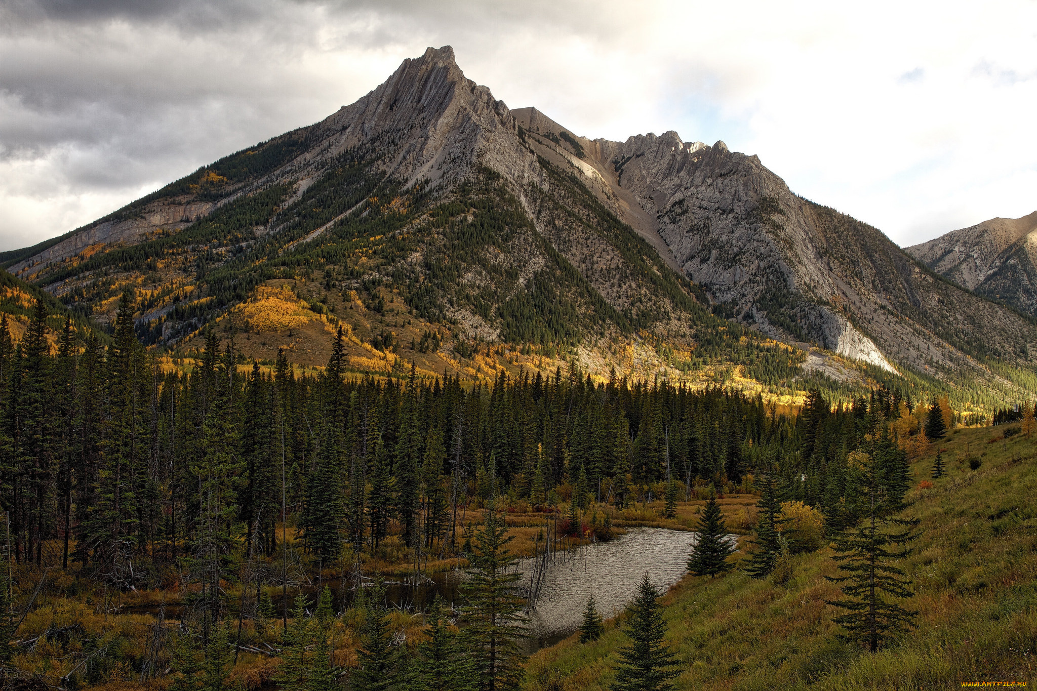 природа, горы, простор