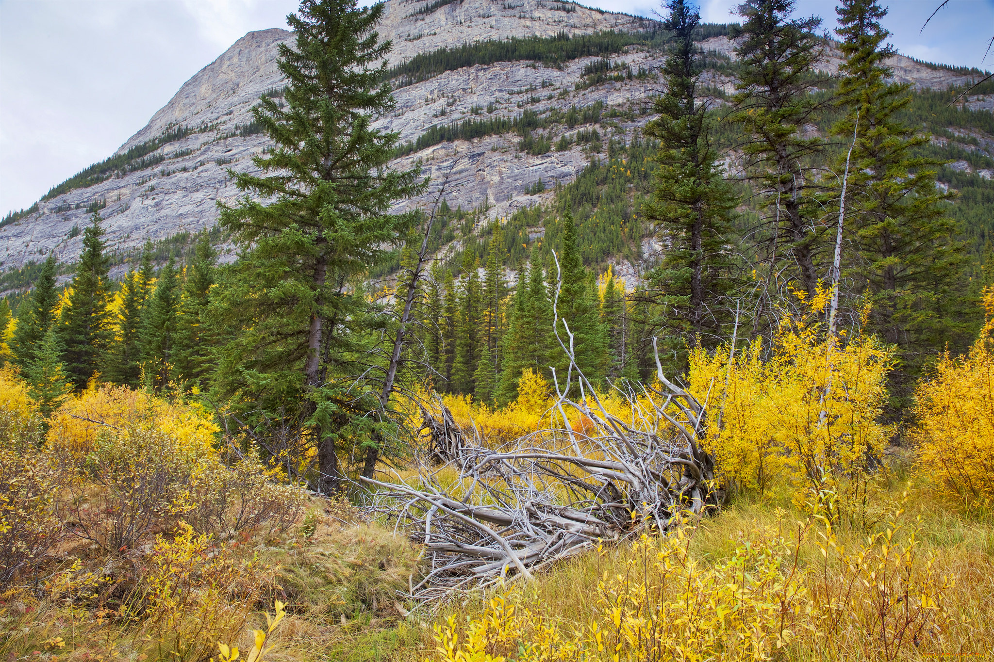 природа, горы, простор