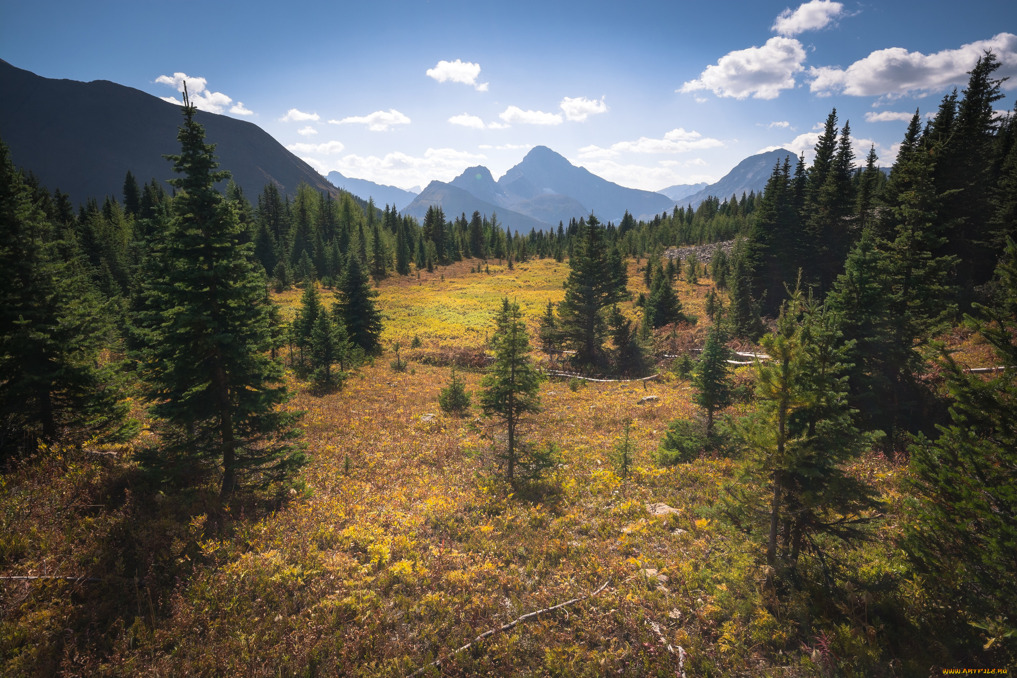 природа, пейзажи, простор