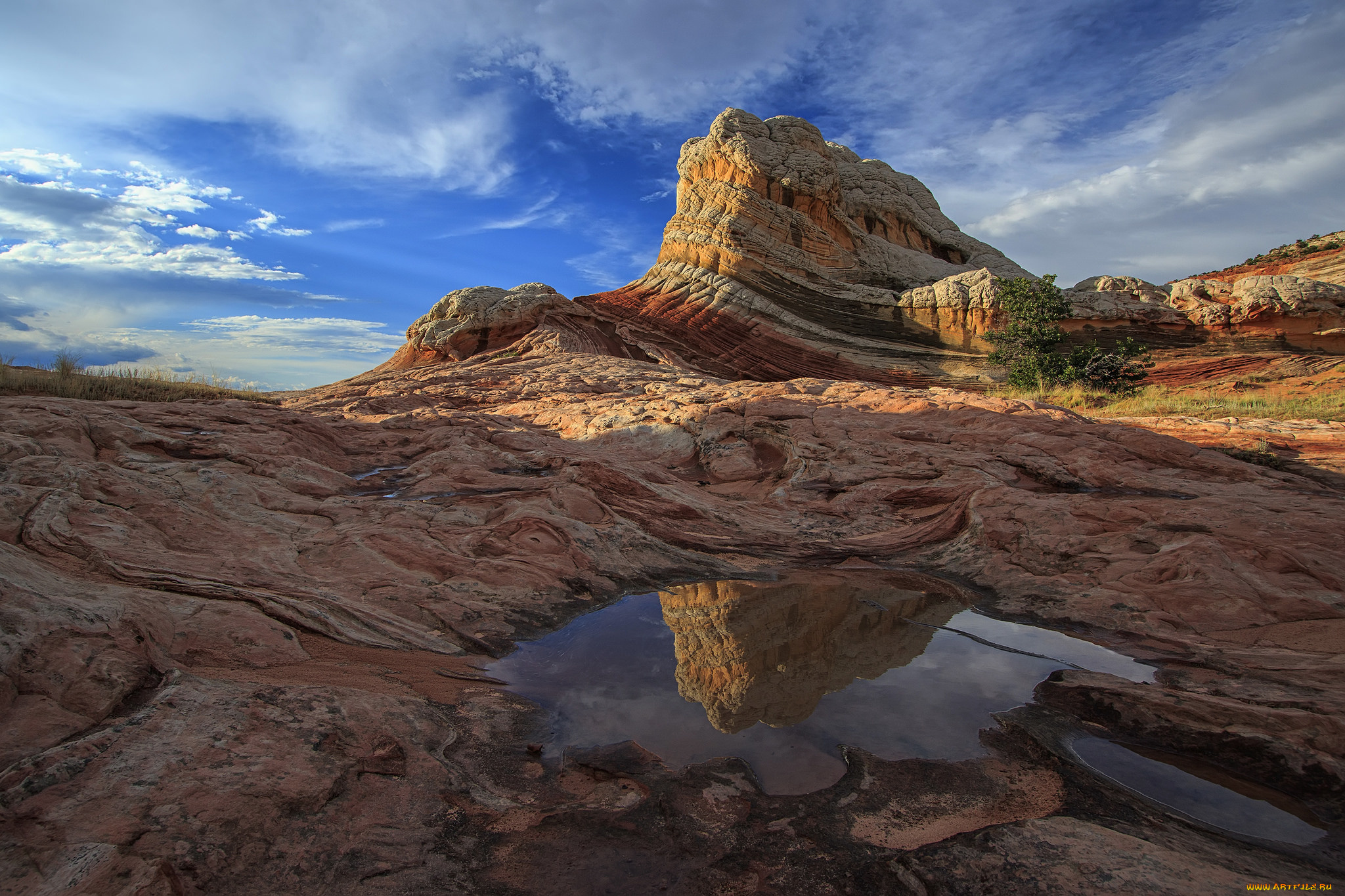 природа, пустыни, простор