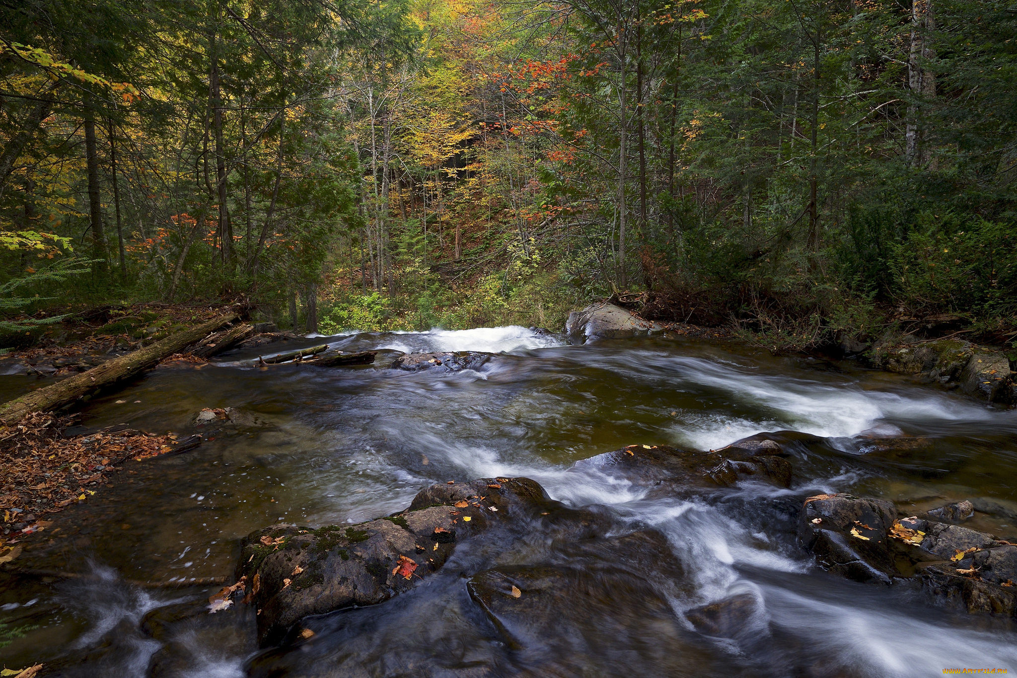 природа, реки, озера, простор