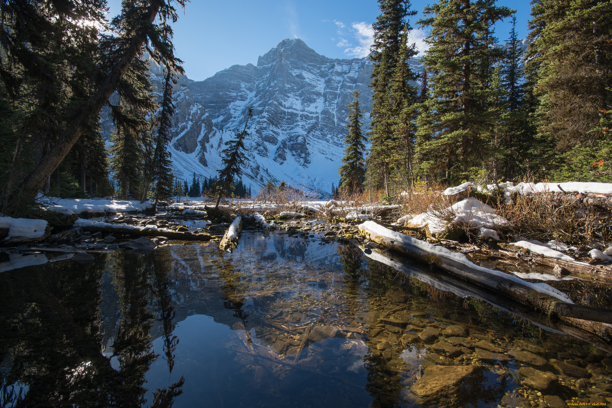 природа, реки, озера, простор