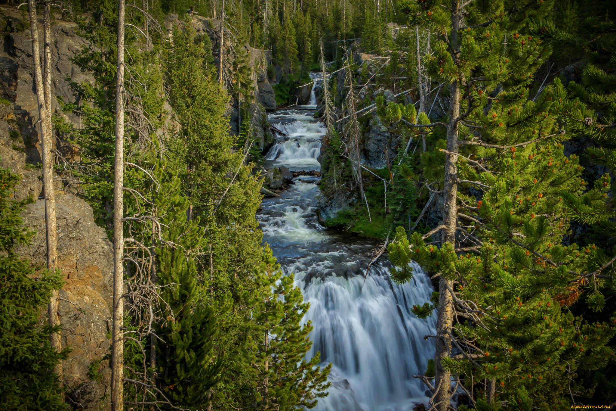 природа, реки, озера, простор