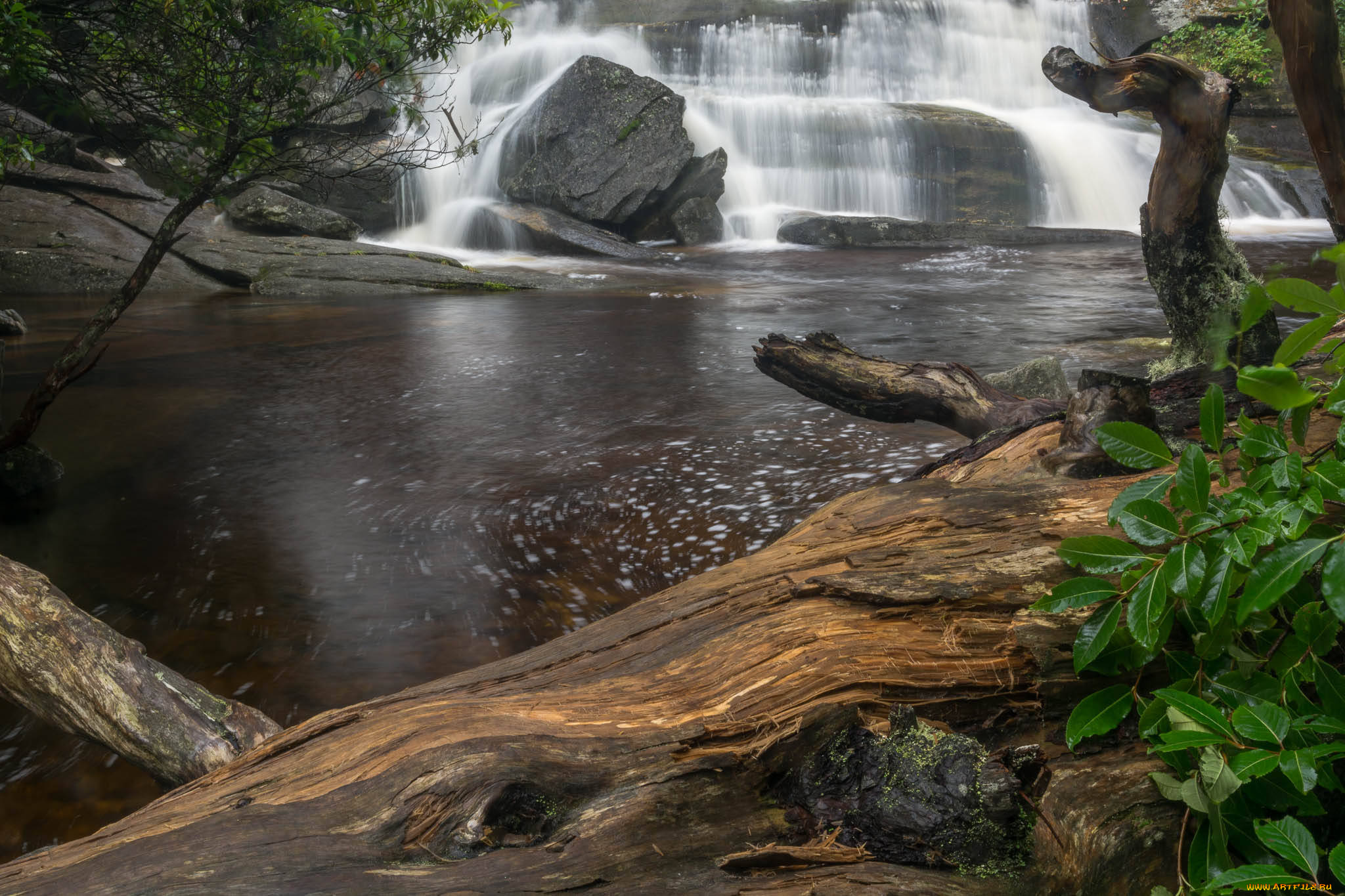 природа, реки, озера, простор