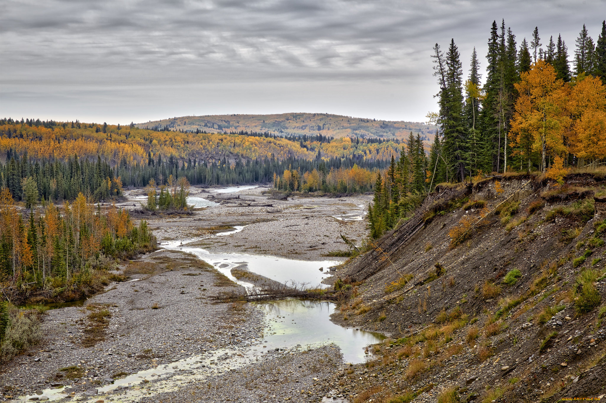 природа, реки, озера, простор