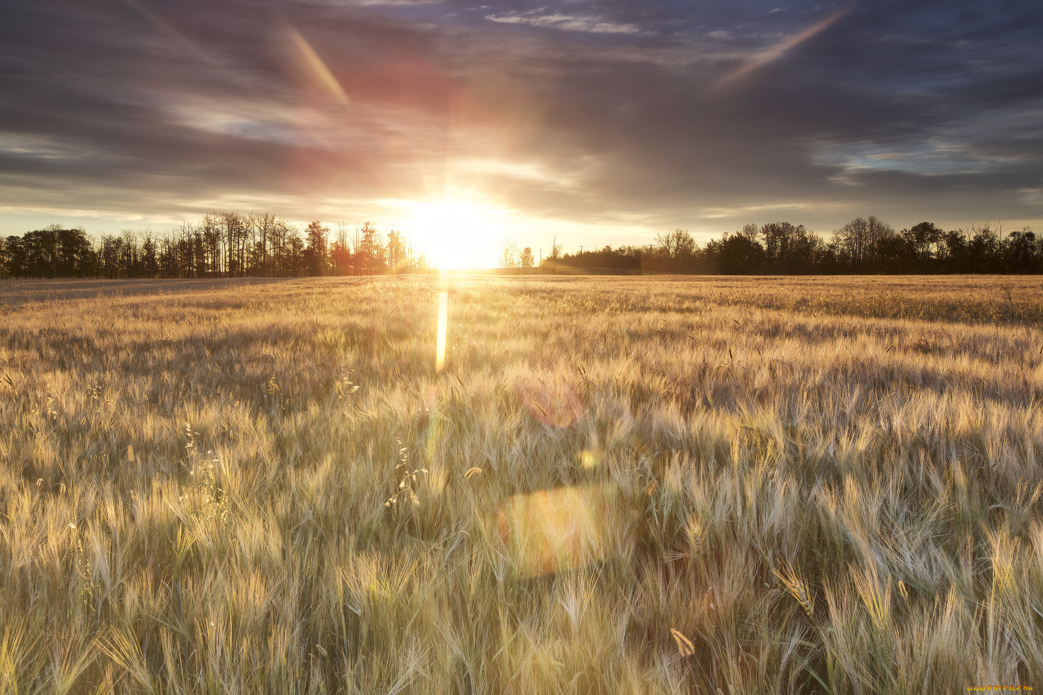 природа, восходы, закаты, простор