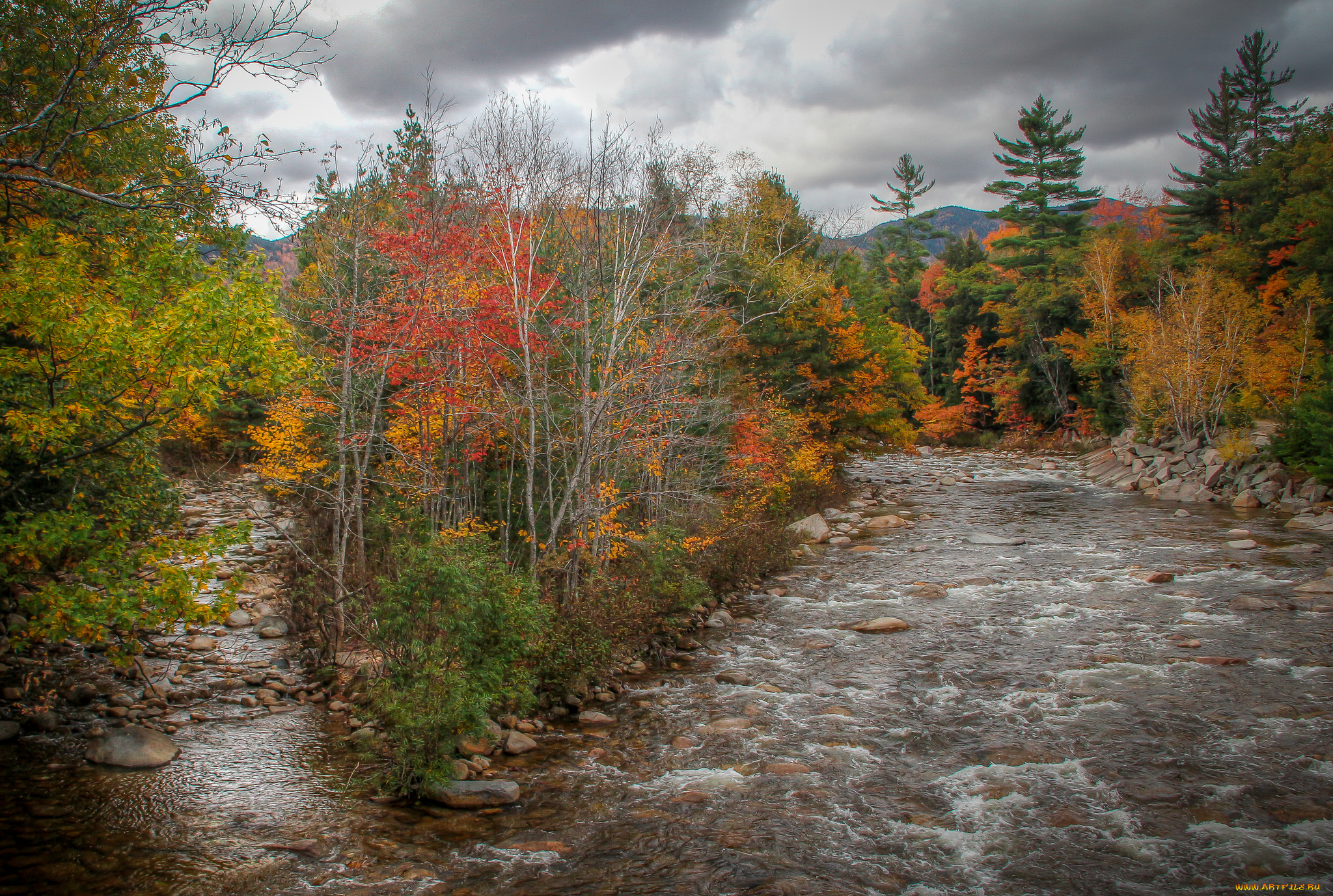 природа, реки, озера, простор