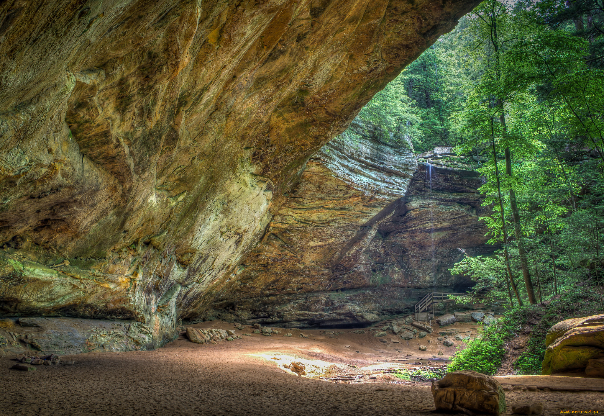 природа, лес, простор