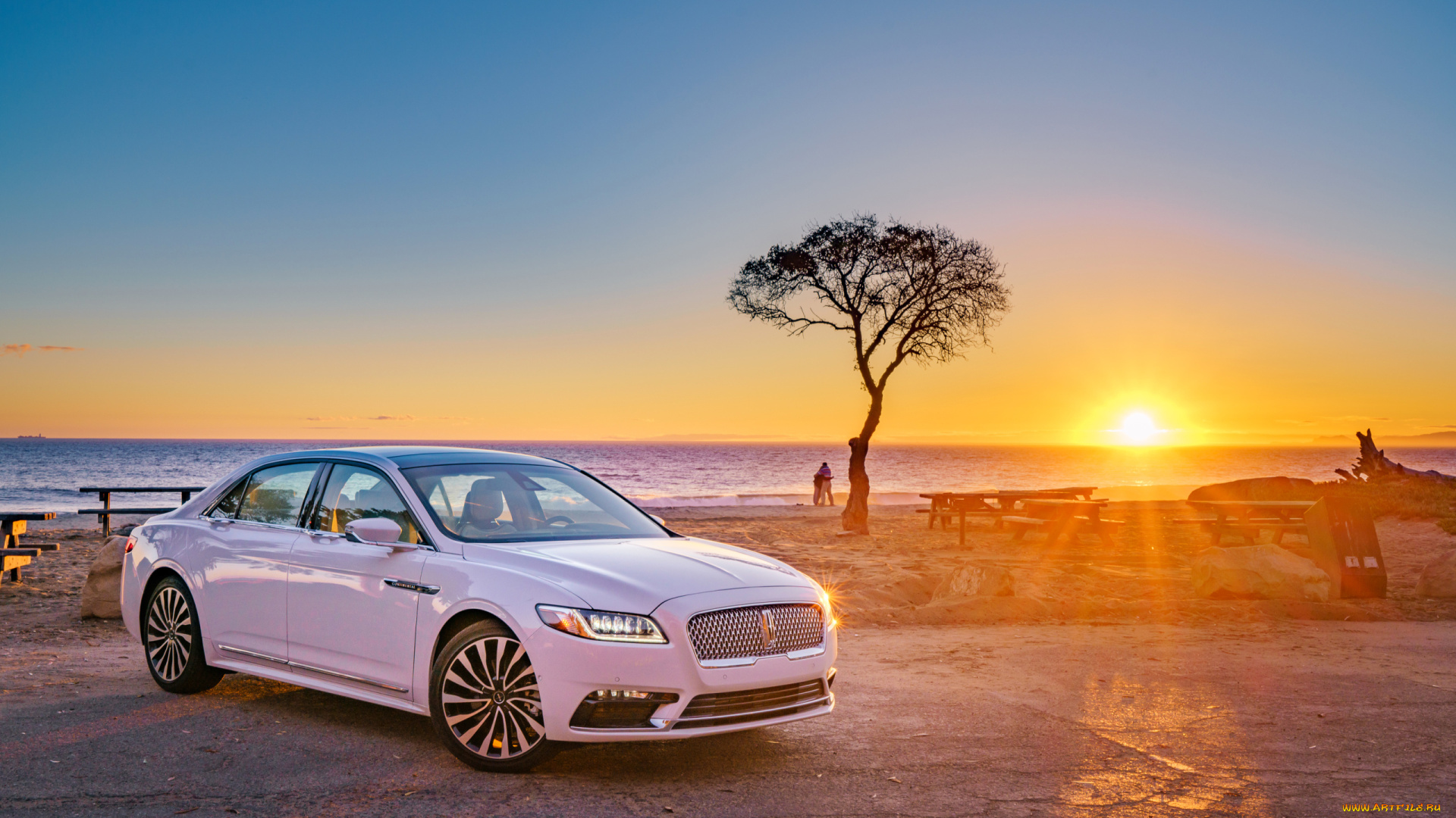 автомобили, lincoln, дерево, море, линкольн, continental, белый, закат, пляж