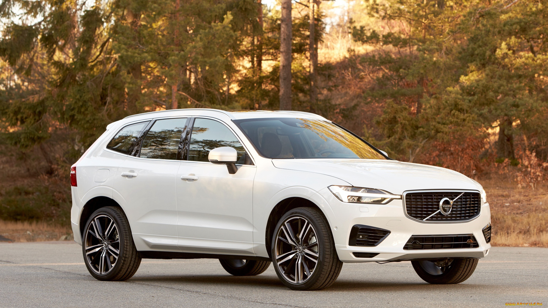 автомобили, volvo, дорога, лес, белый, xc60, вольво