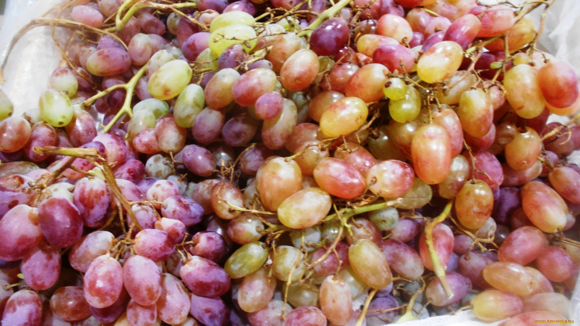 еда, виноград