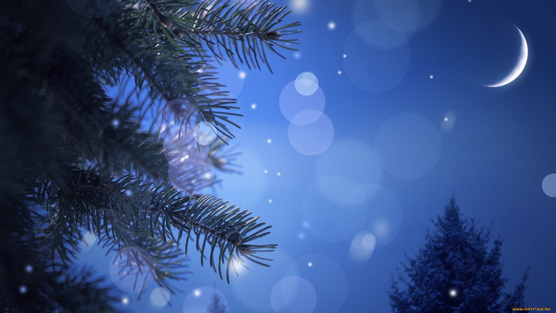 природа, деревья, месяц, небо, блики, ёлка