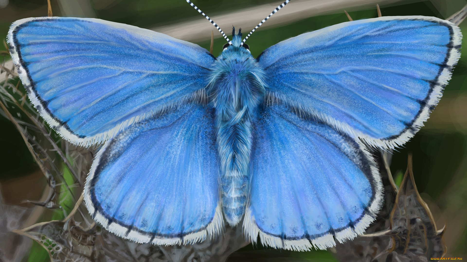 john, labrada, рисованное, животные, , бабочки, blue, butterfly