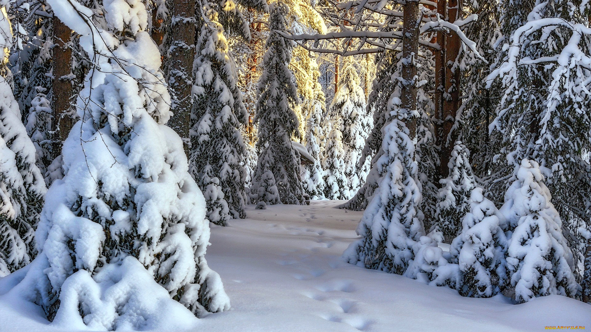 природа, зима, снег, сугробы