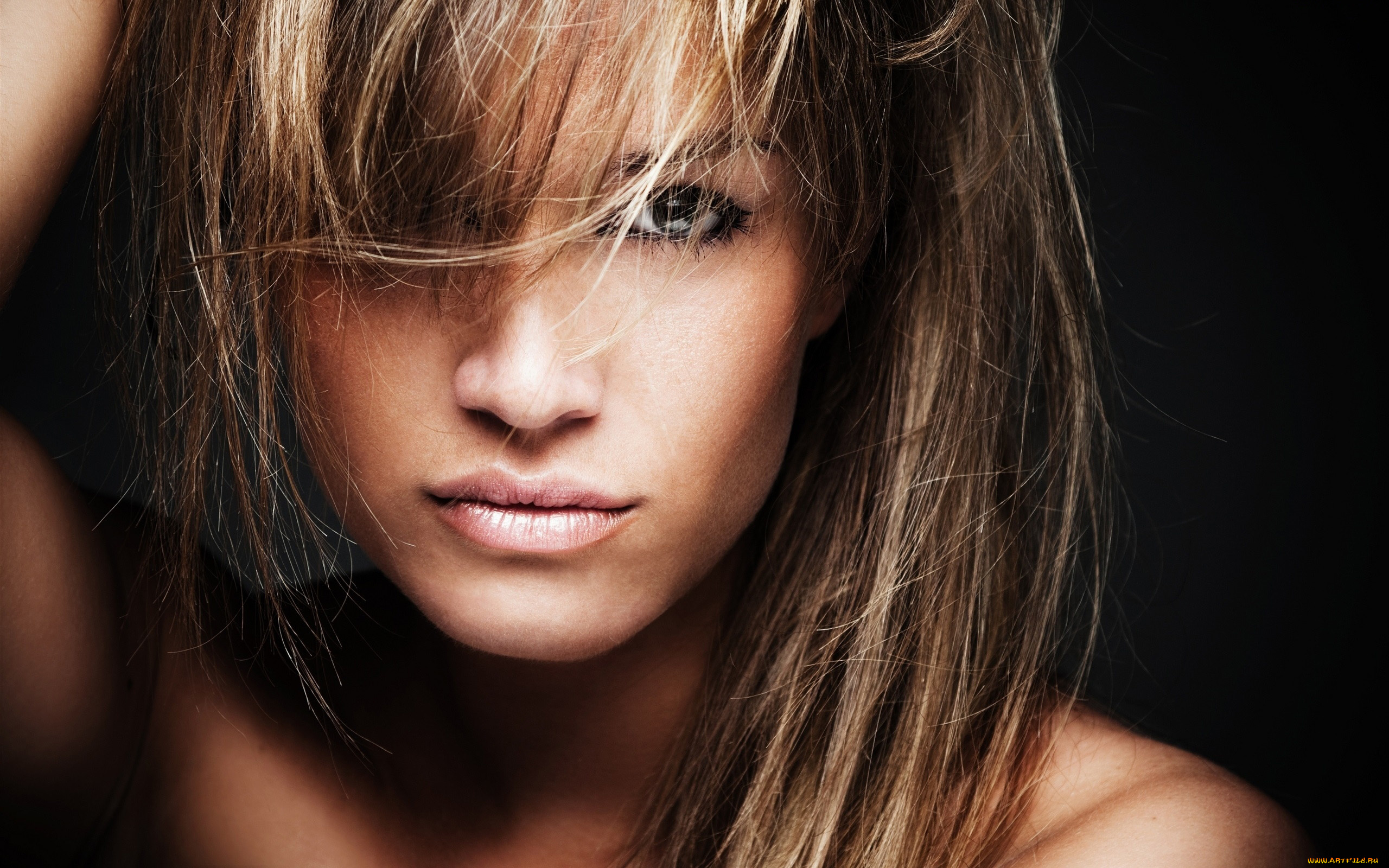 девушки, -, лица, , портреты, шатенка, взгляд, портрет