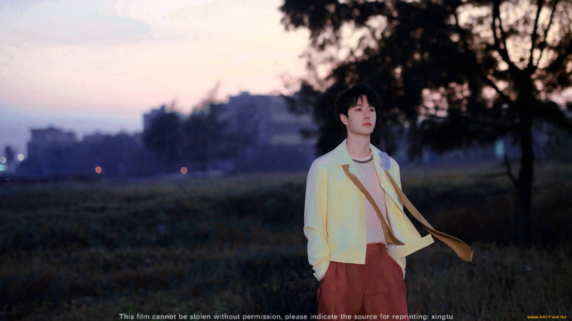 мужчины, wang, yi, bo, актер, куртка, шарф, парк