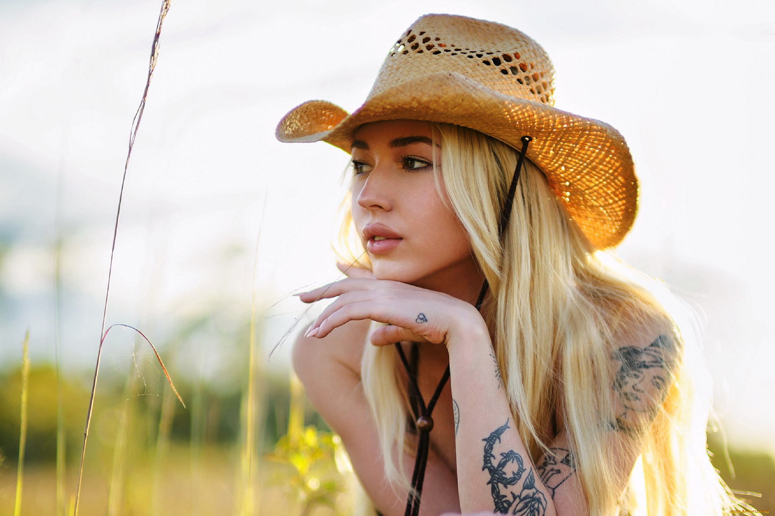 девушки, -, блондинки, , светловолосые, блондинка, поза, шляпа, тату