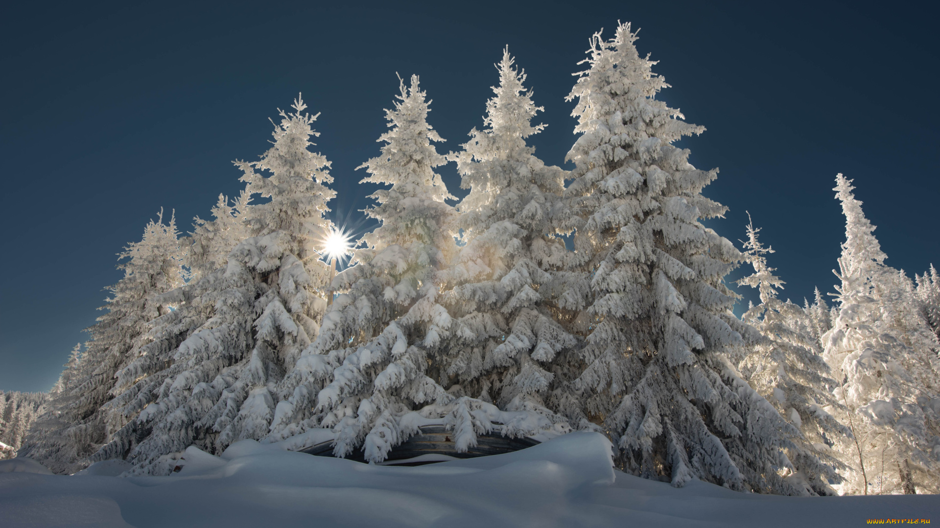 природа, зима, пейзаж