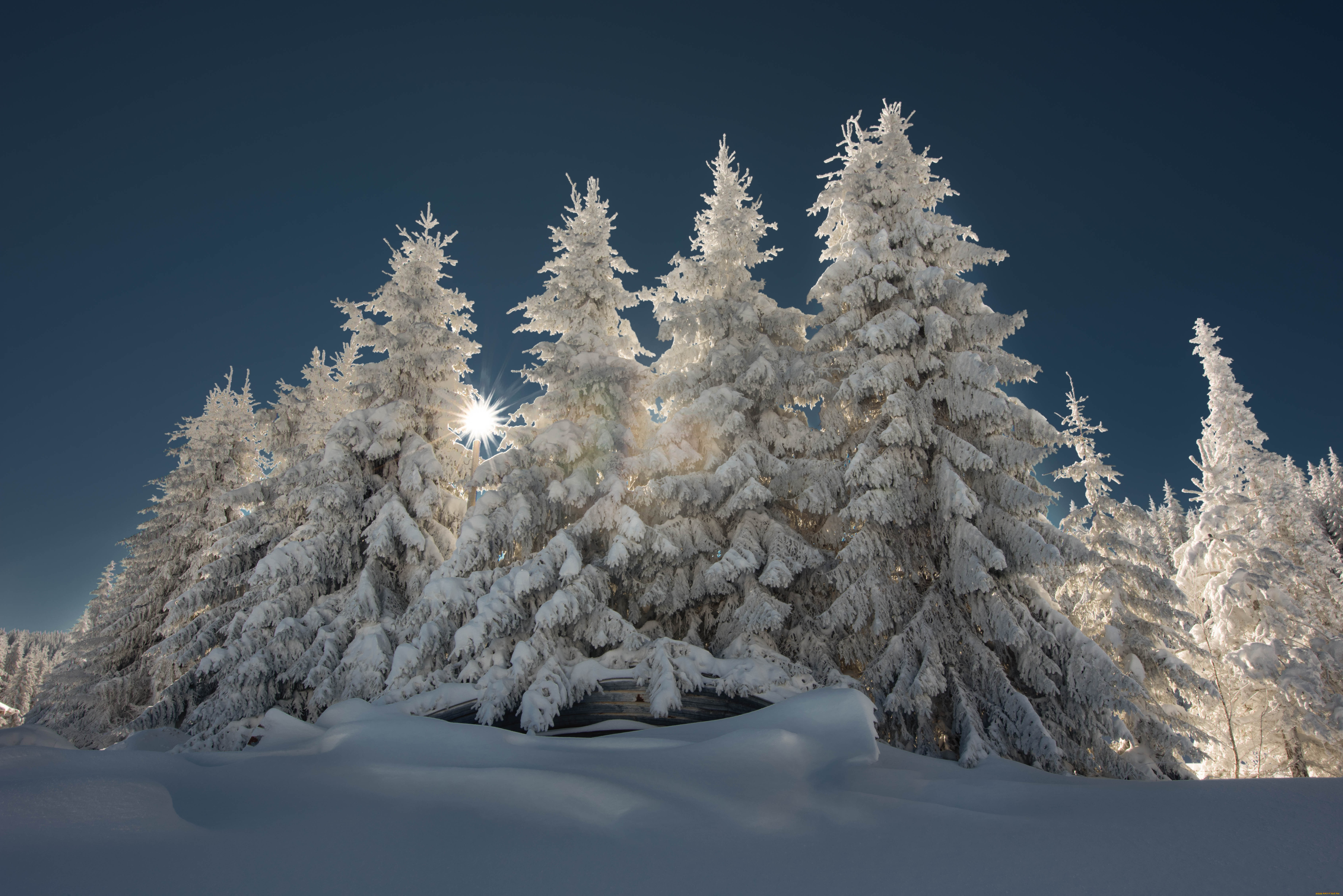 природа, зима, пейзаж