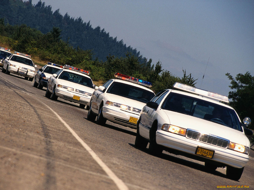 автомобили, полиция