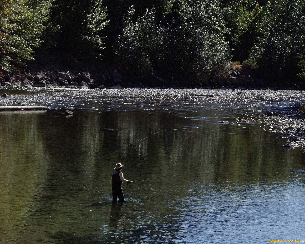 спорт, другое