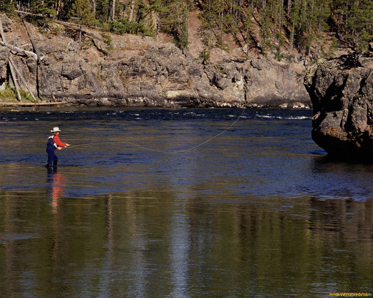 спорт, другое