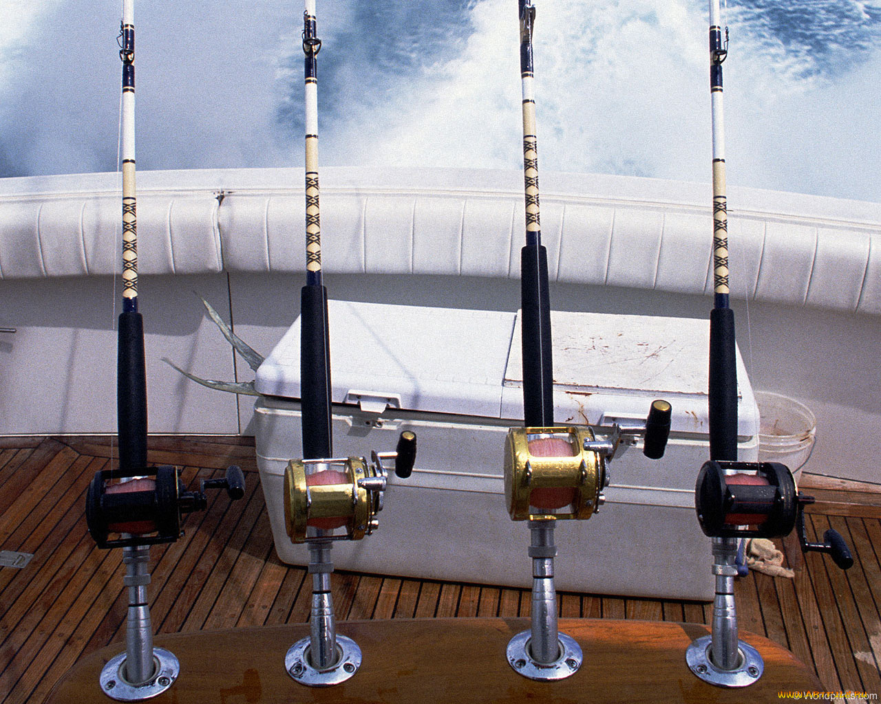 спорт, другое