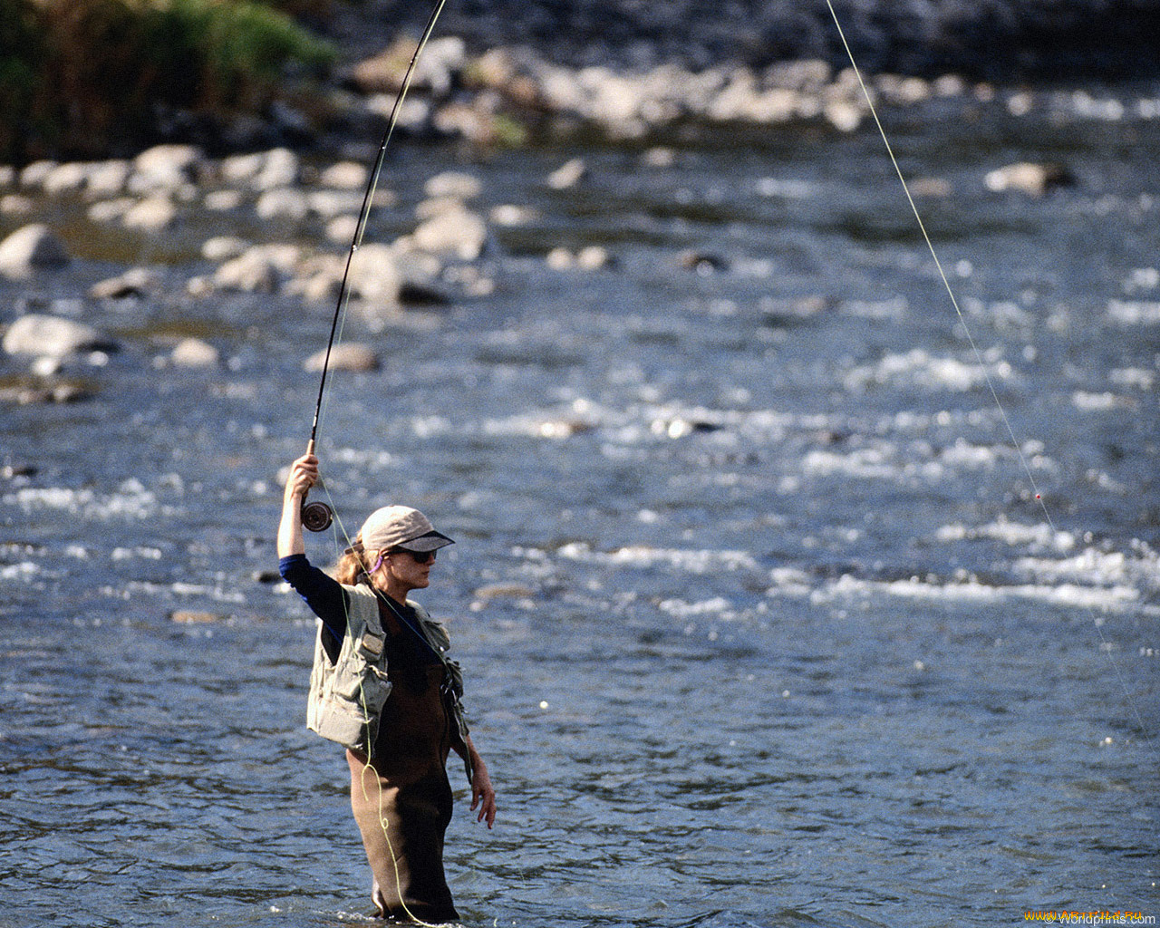 спорт, другое