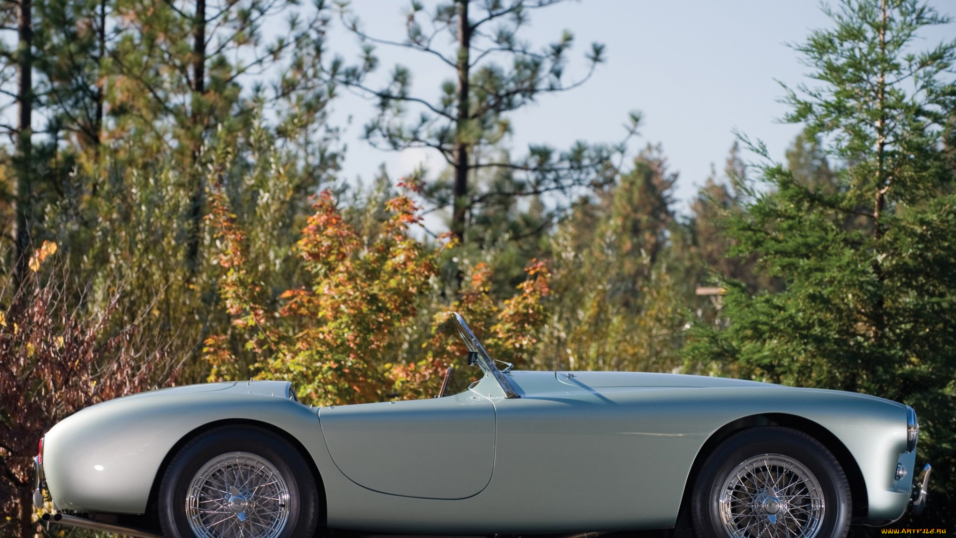 автомобили, ac, cobra, shelby