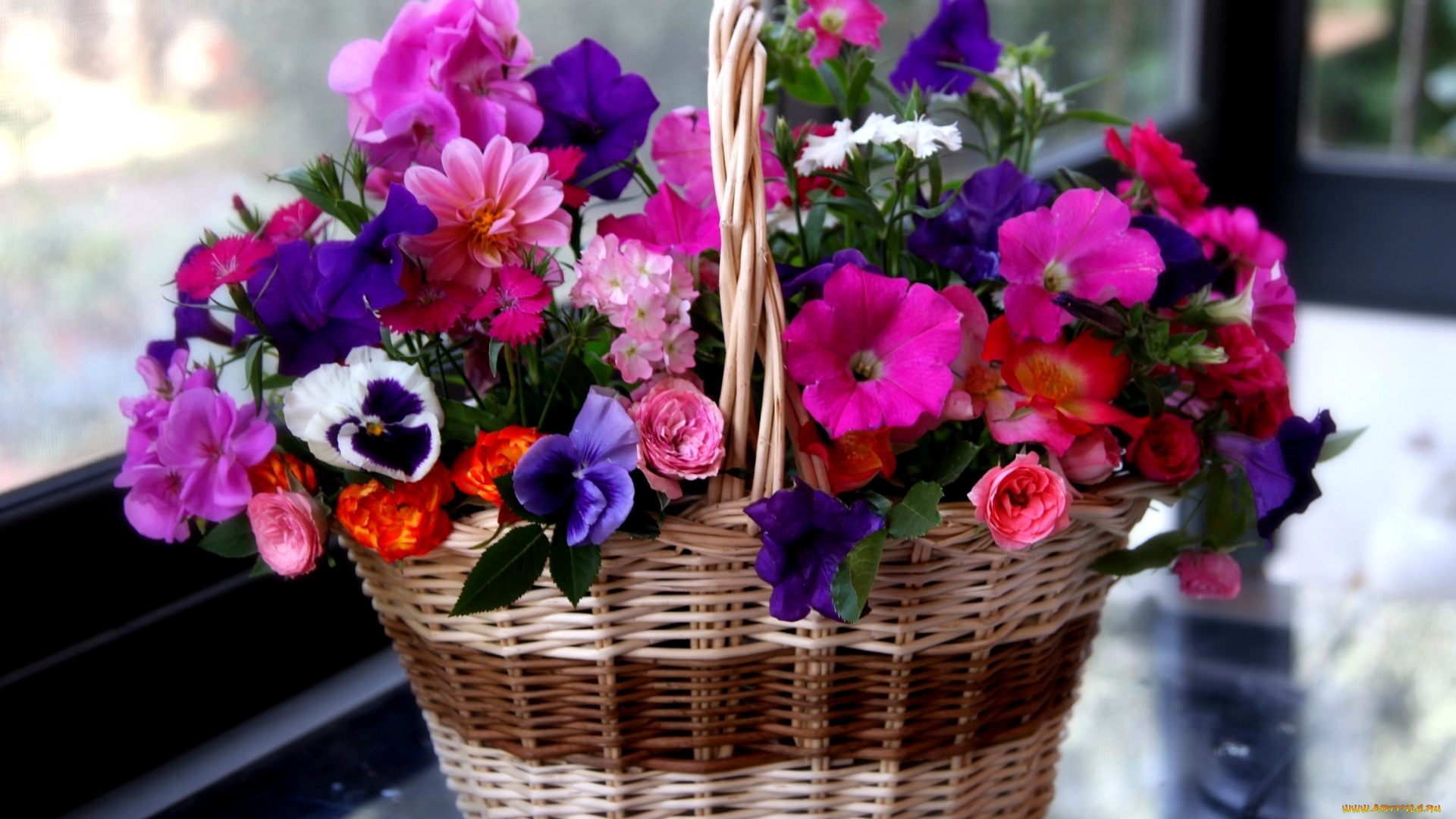 цветы, букеты, композиции, виола, петуния, роза, герань