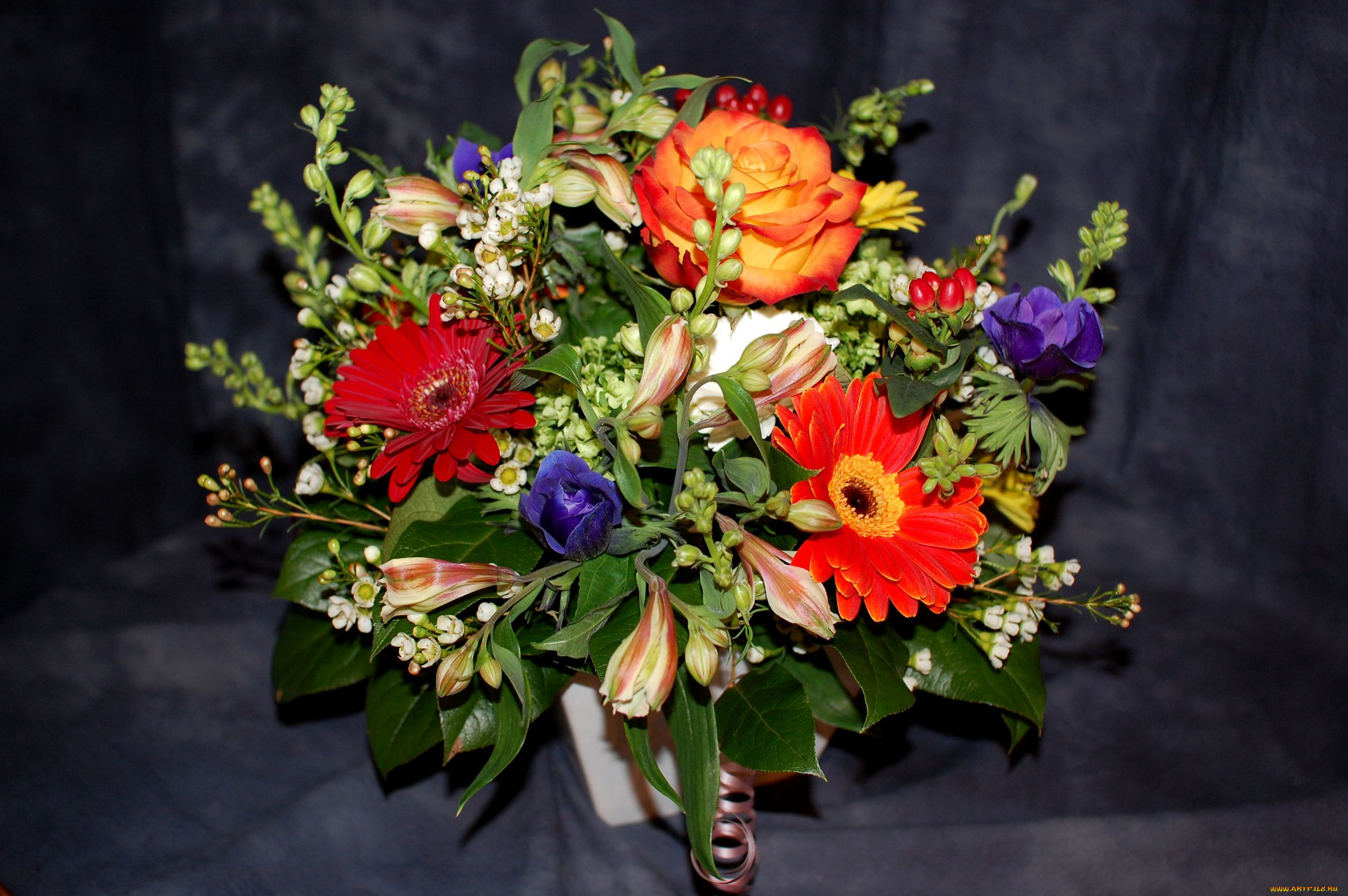 цветы, букеты, композиции, альстромерия, анемоны, герберы, розы