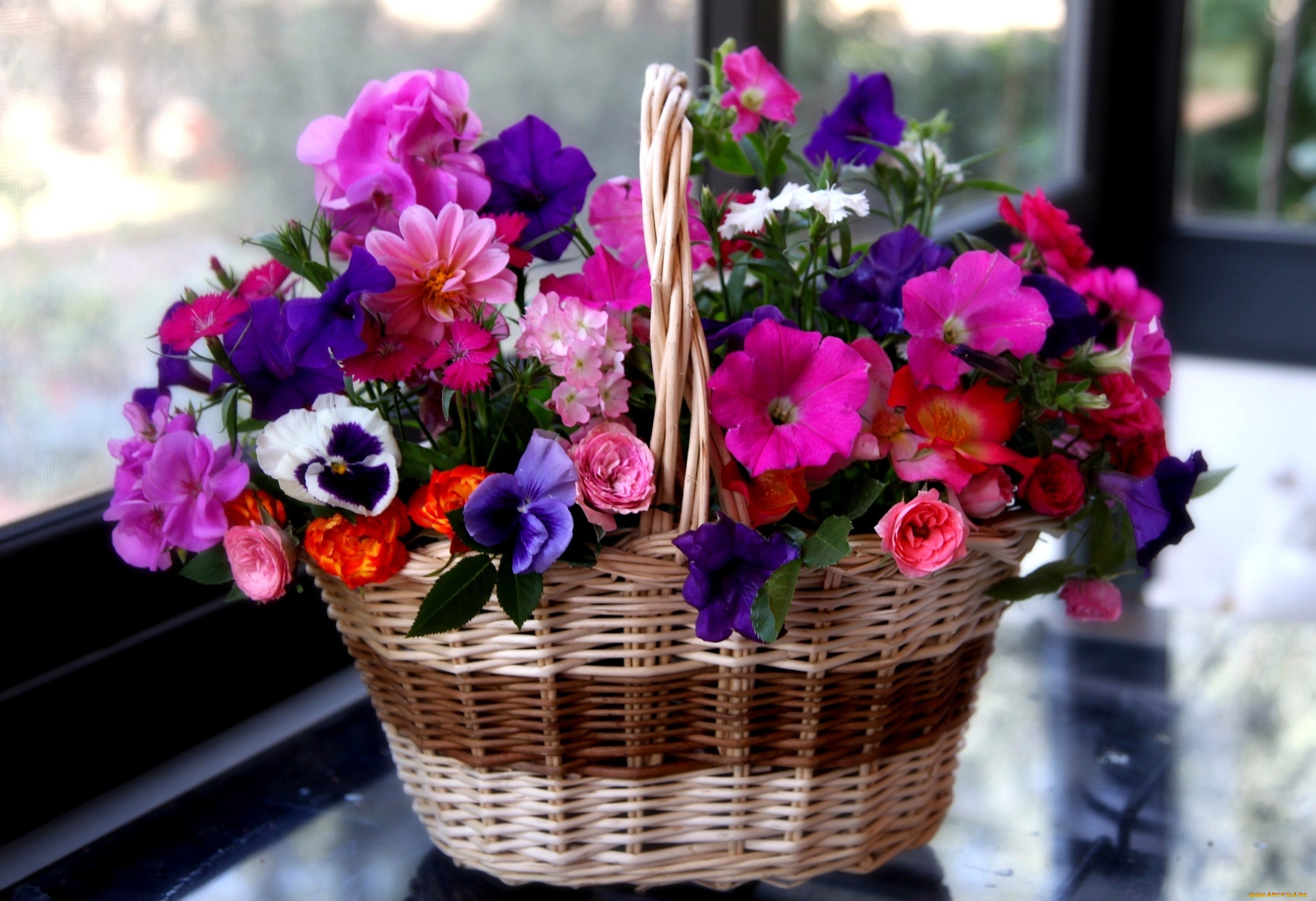 цветы, букеты, композиции, виола, петуния, роза, герань