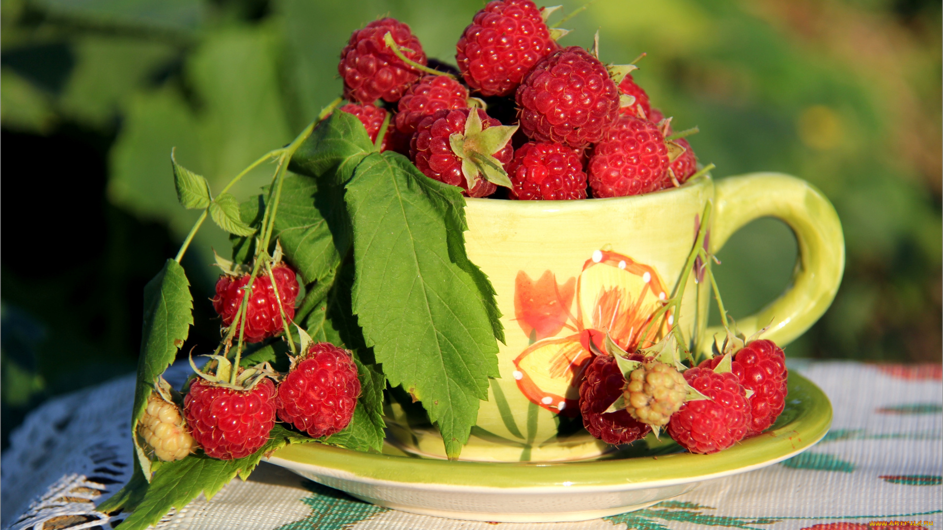 еда, малина, ягоды, дары, лета