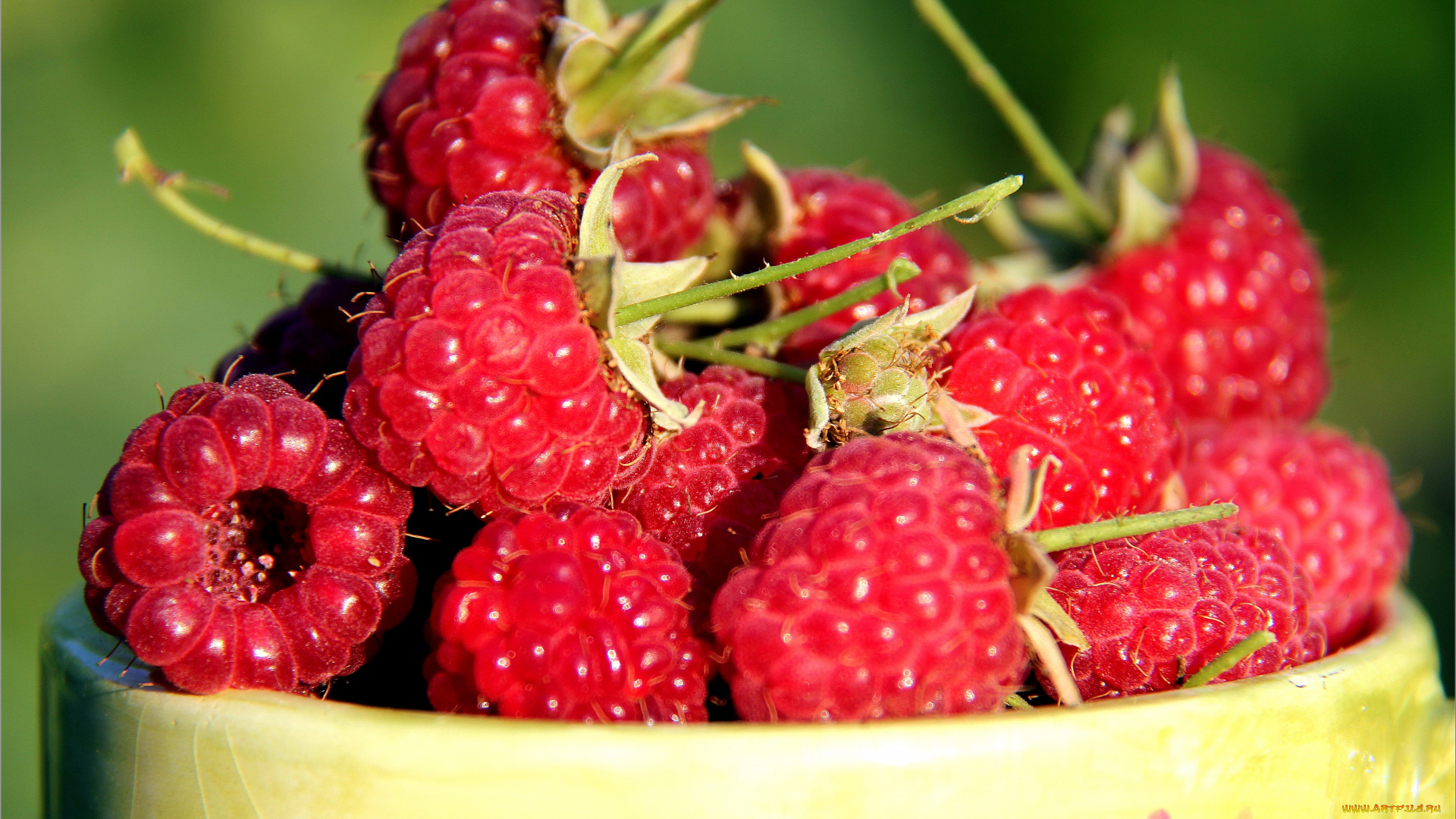 еда, малина, ягоды, дары, лета