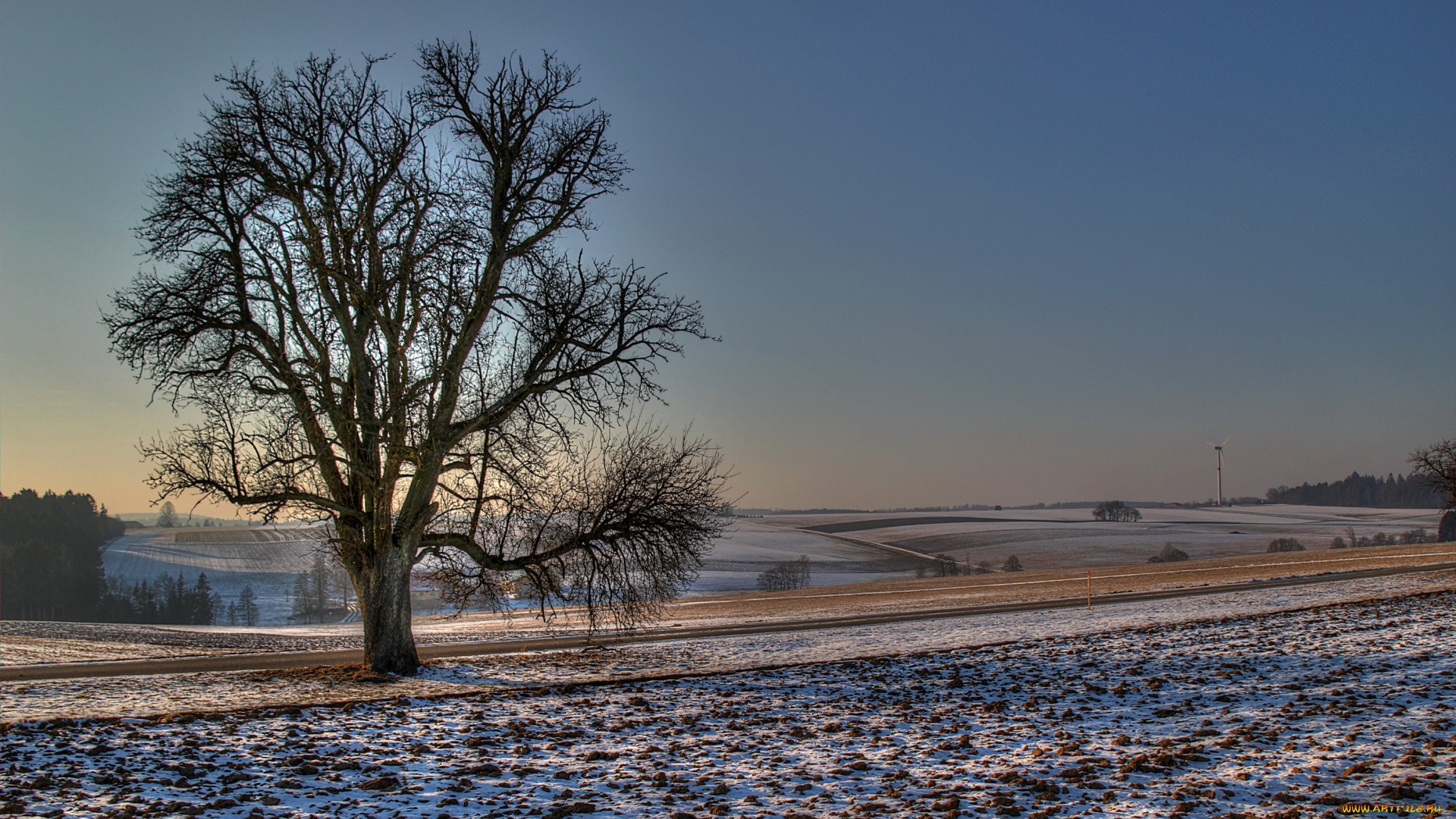 германия, альфдорф, природа, поля, снег