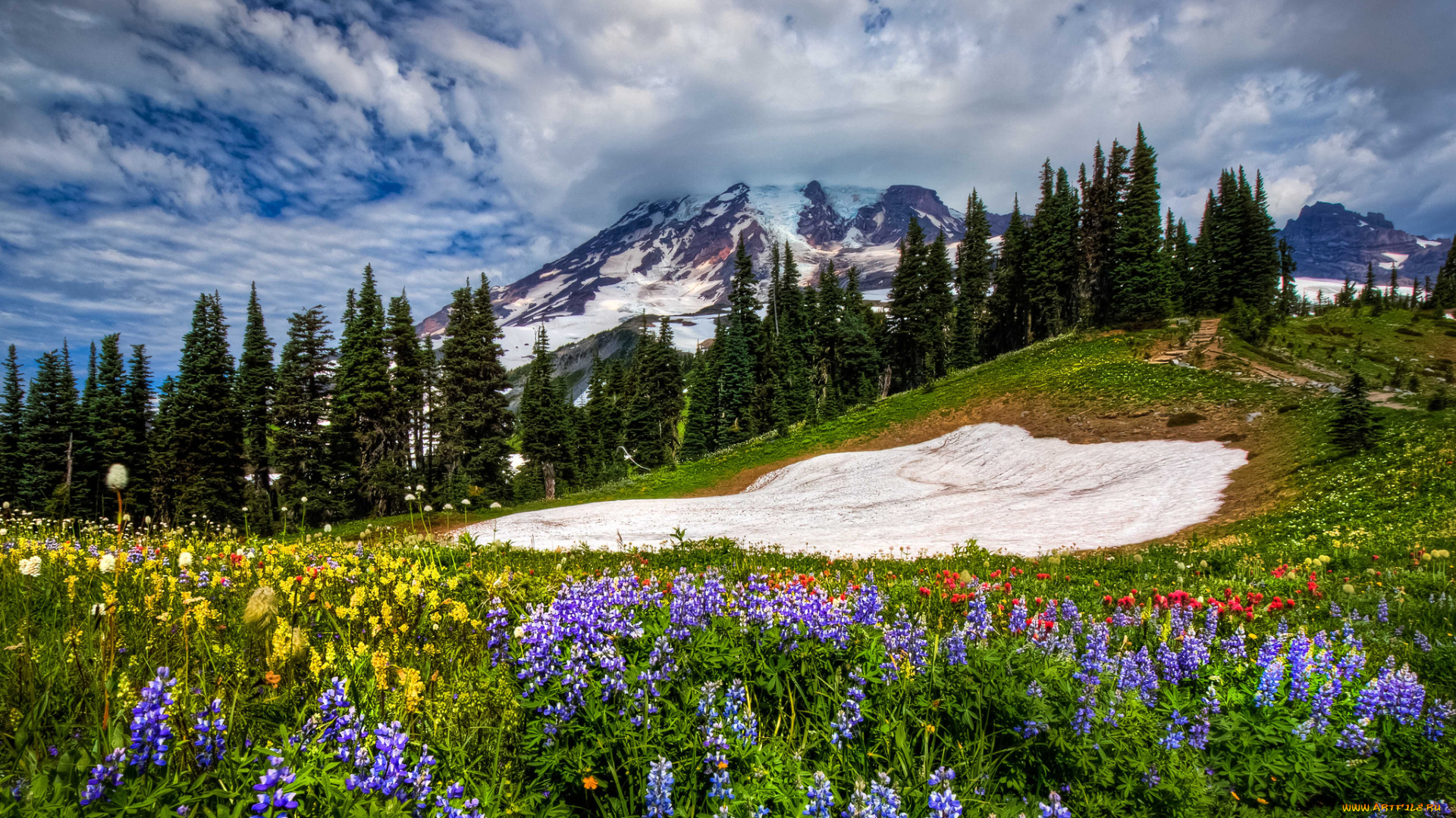 mount, rainier, national, park, природа, луга, горы, цветы, деревья, облака, пейзаж