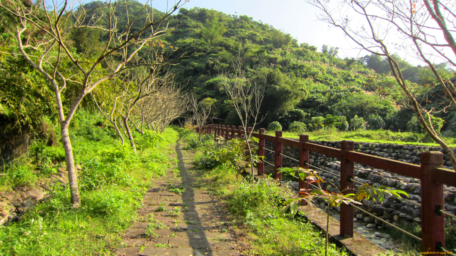 природа, дороги, холмы, трава, деревья, изгородь, дорожка