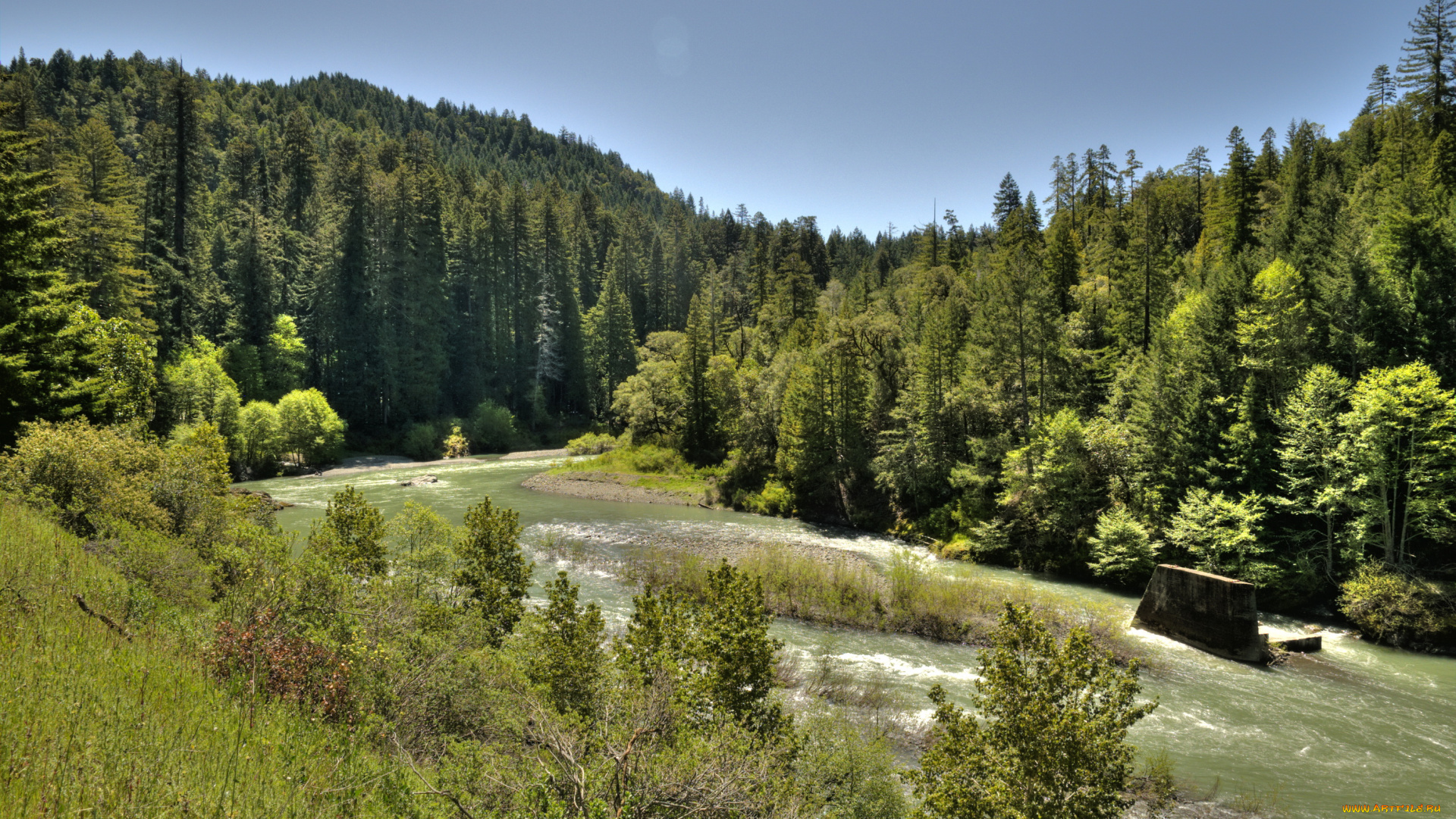 природа, реки, озера, лес, река
