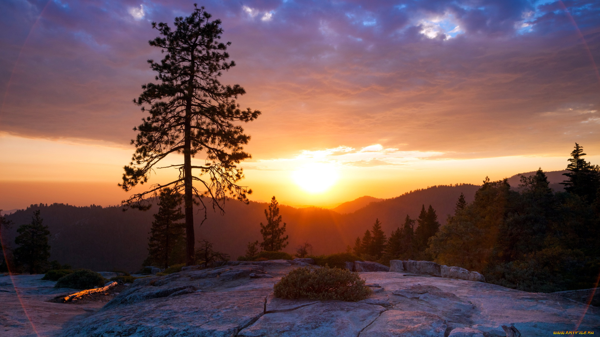 природа, восходы, закаты, горы, лес, дерево, рассвет