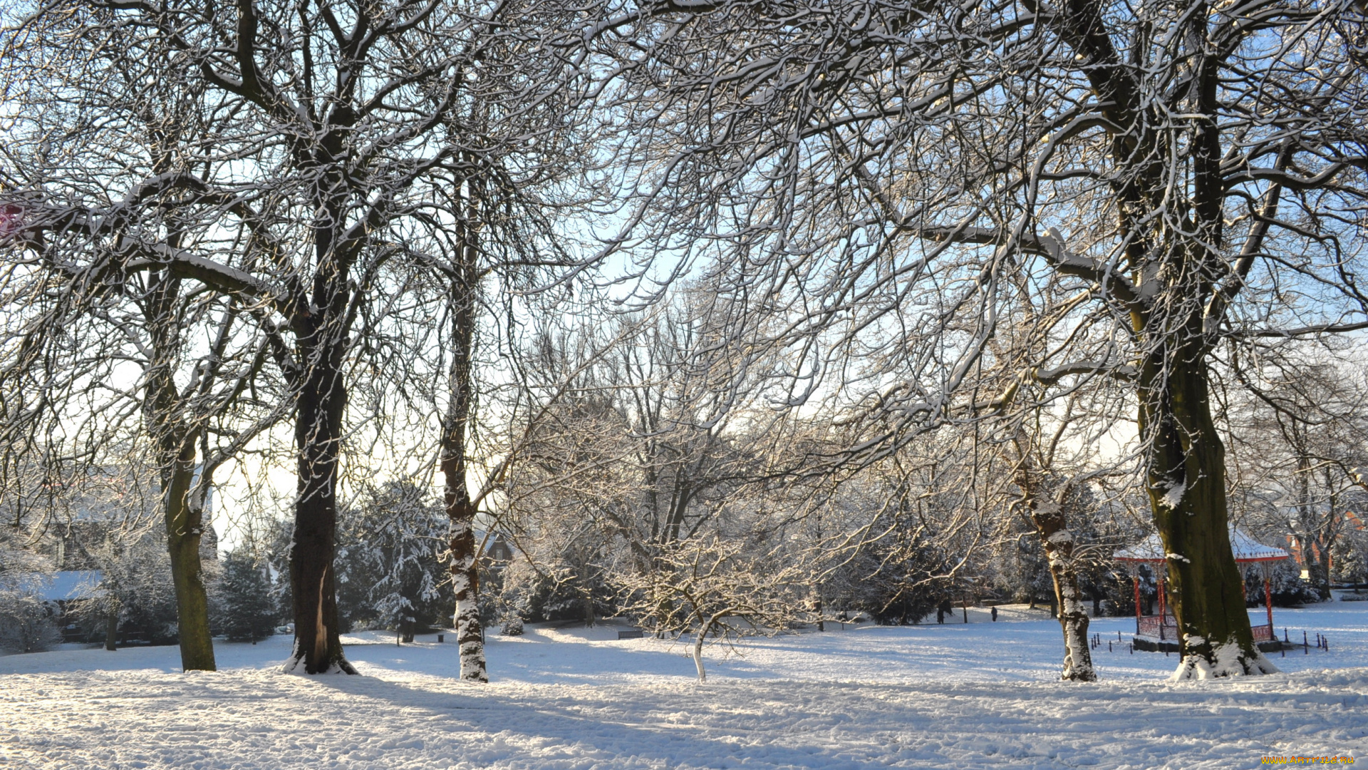 природа, зима, снег, деревья