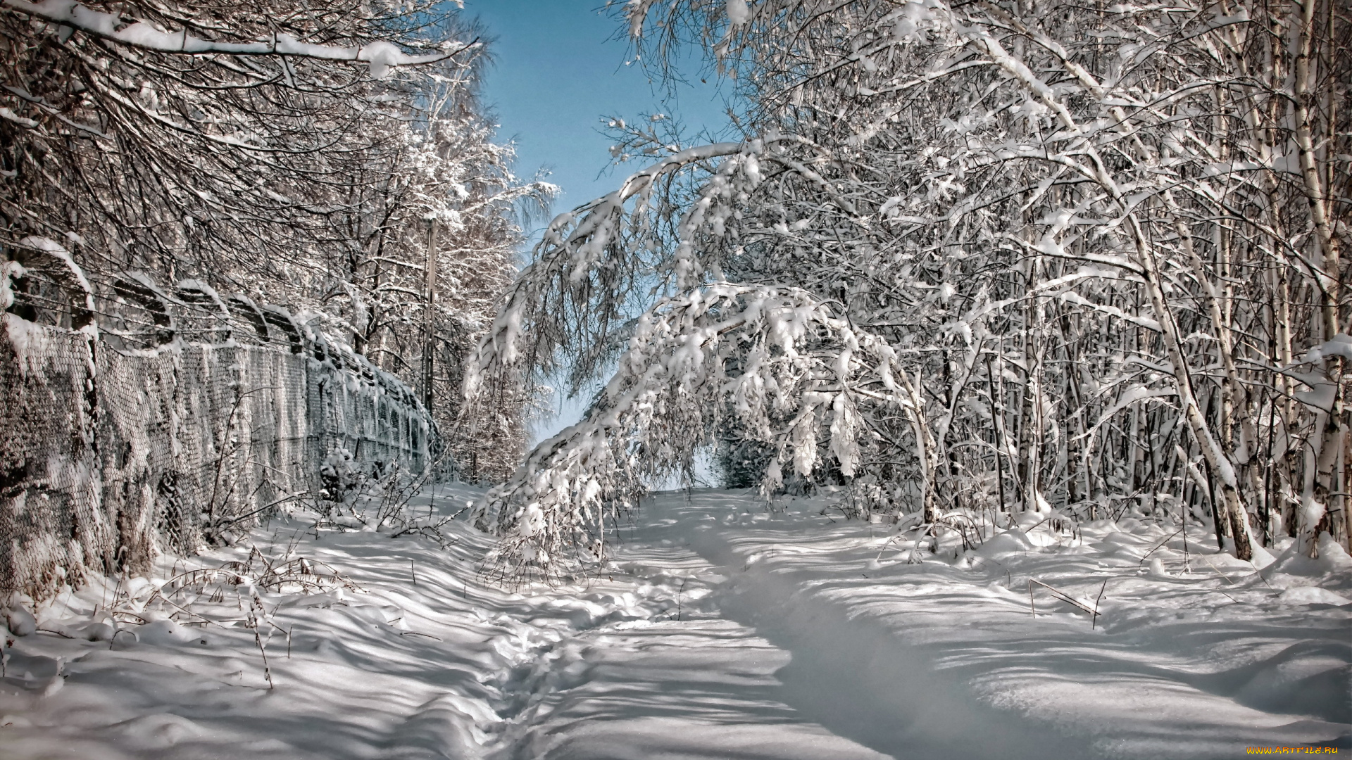 природа, зима, снег, деревья