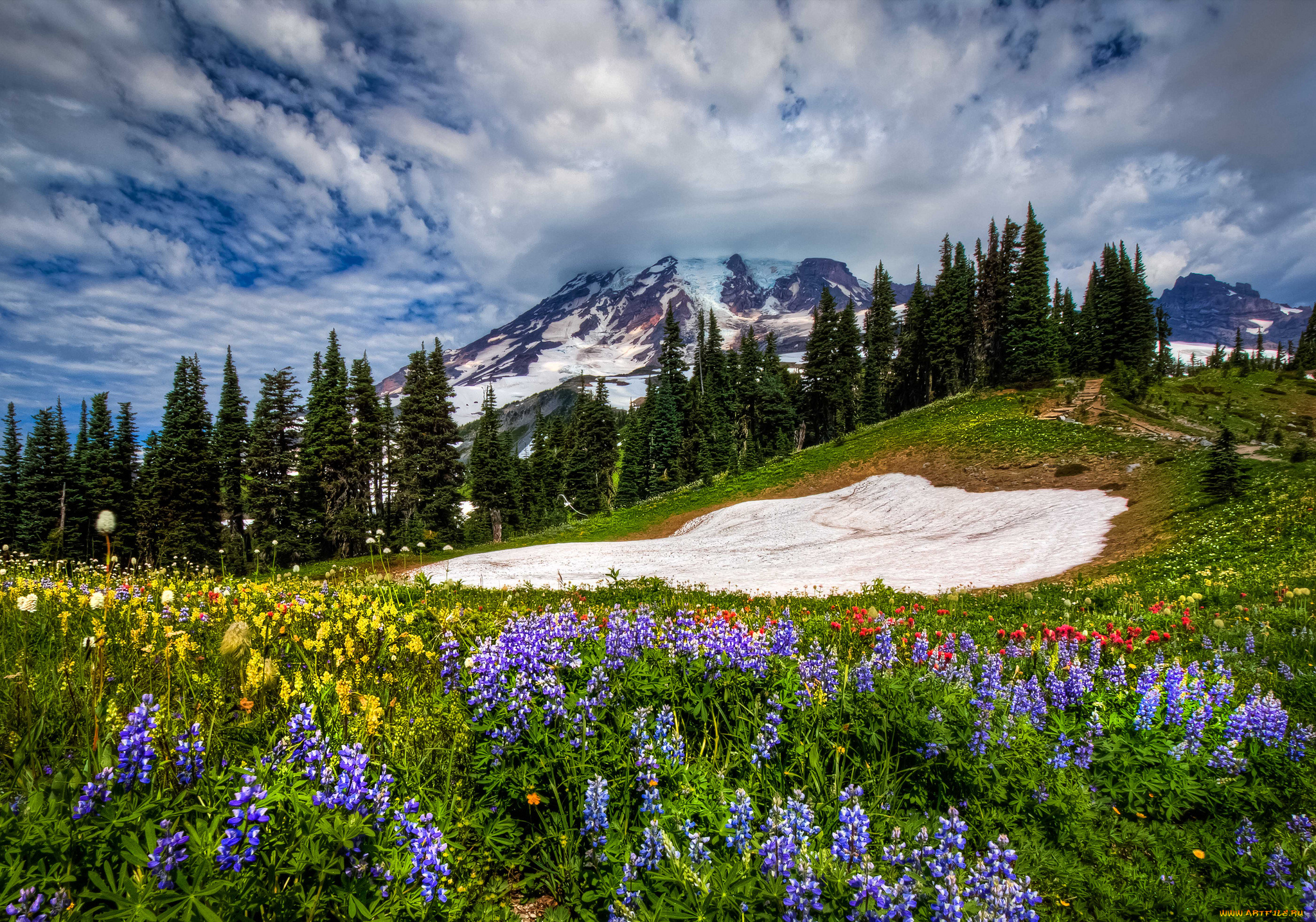 mount, rainier, national, park, природа, луга, горы, цветы, деревья, облака, пейзаж