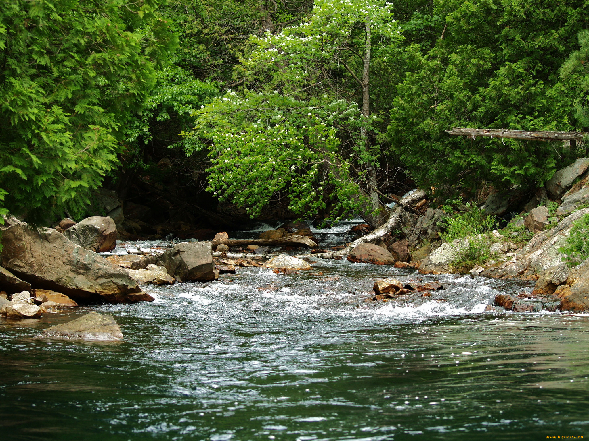 канада, онтарио, природа, реки, озера, река, лес