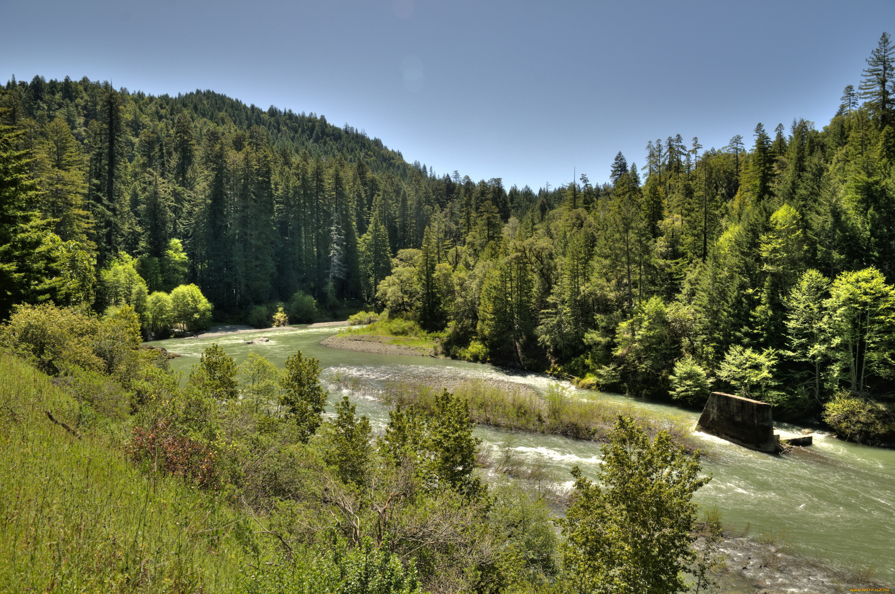 природа, реки, озера, лес, река