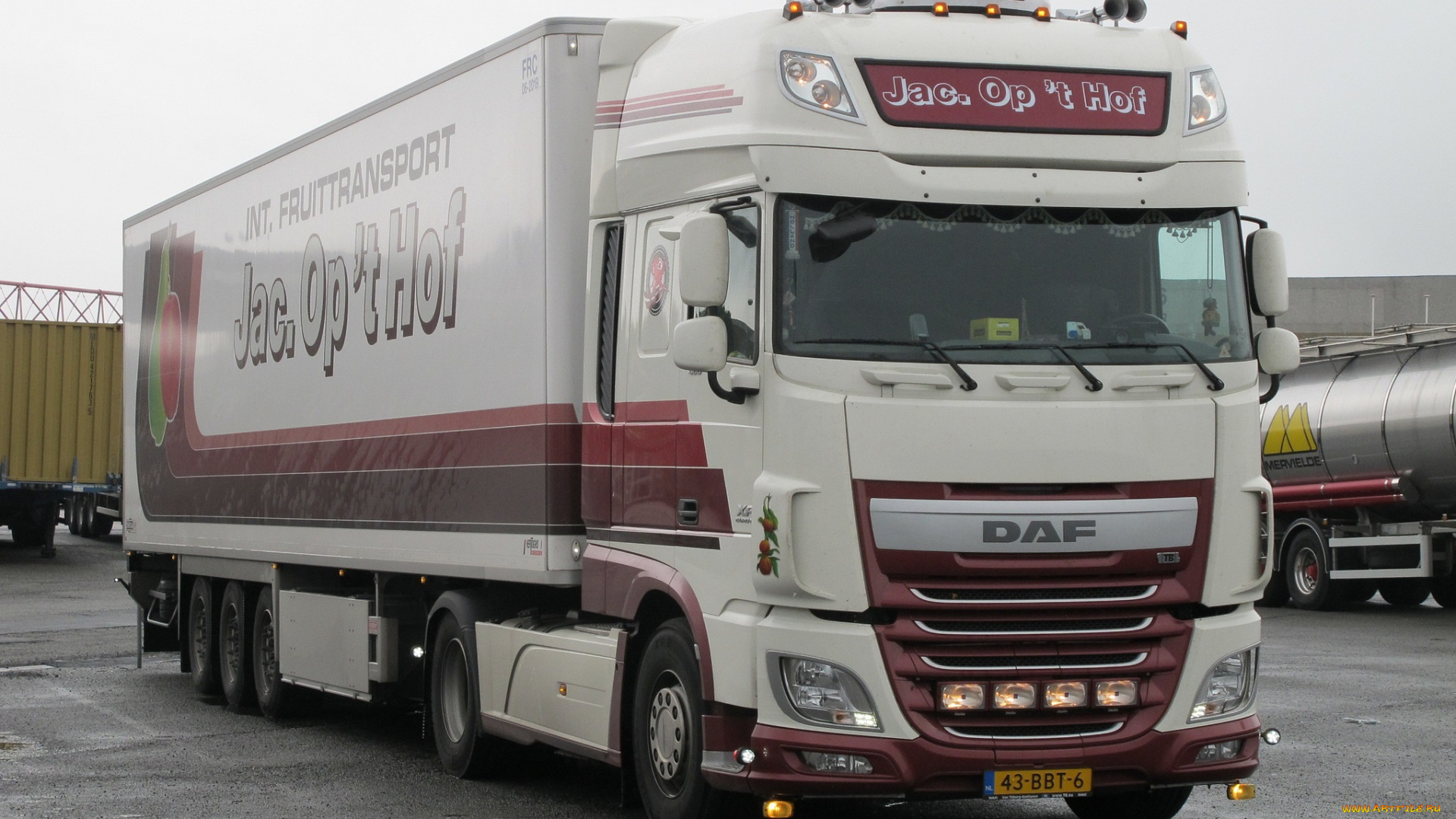 daf, автомобили, daf, , выставка, улица, тягачи, автобусы, trucks, nv, нидерланды, шасси, седельные