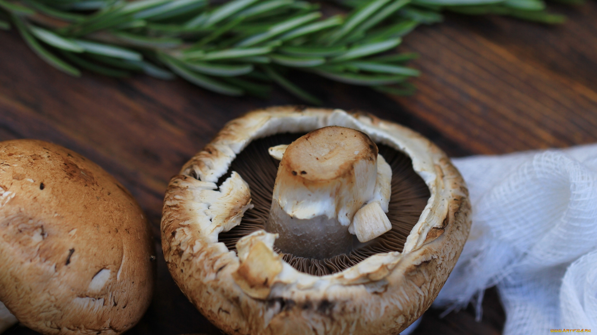 еда, грибы, , грибные, блюда, гриб, зелень